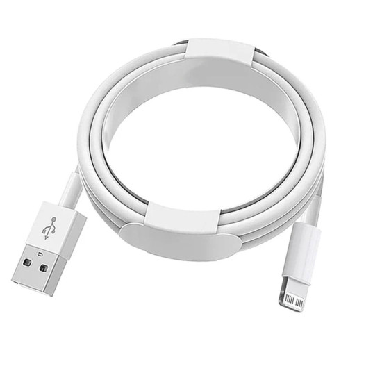 Apple fast charger (New)