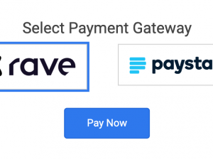 You can now pay Using Paystack