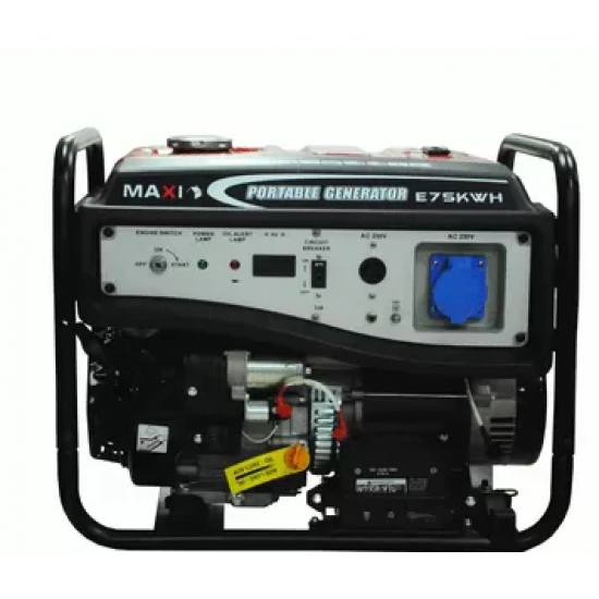 Maxi Generator 9.3kVa 